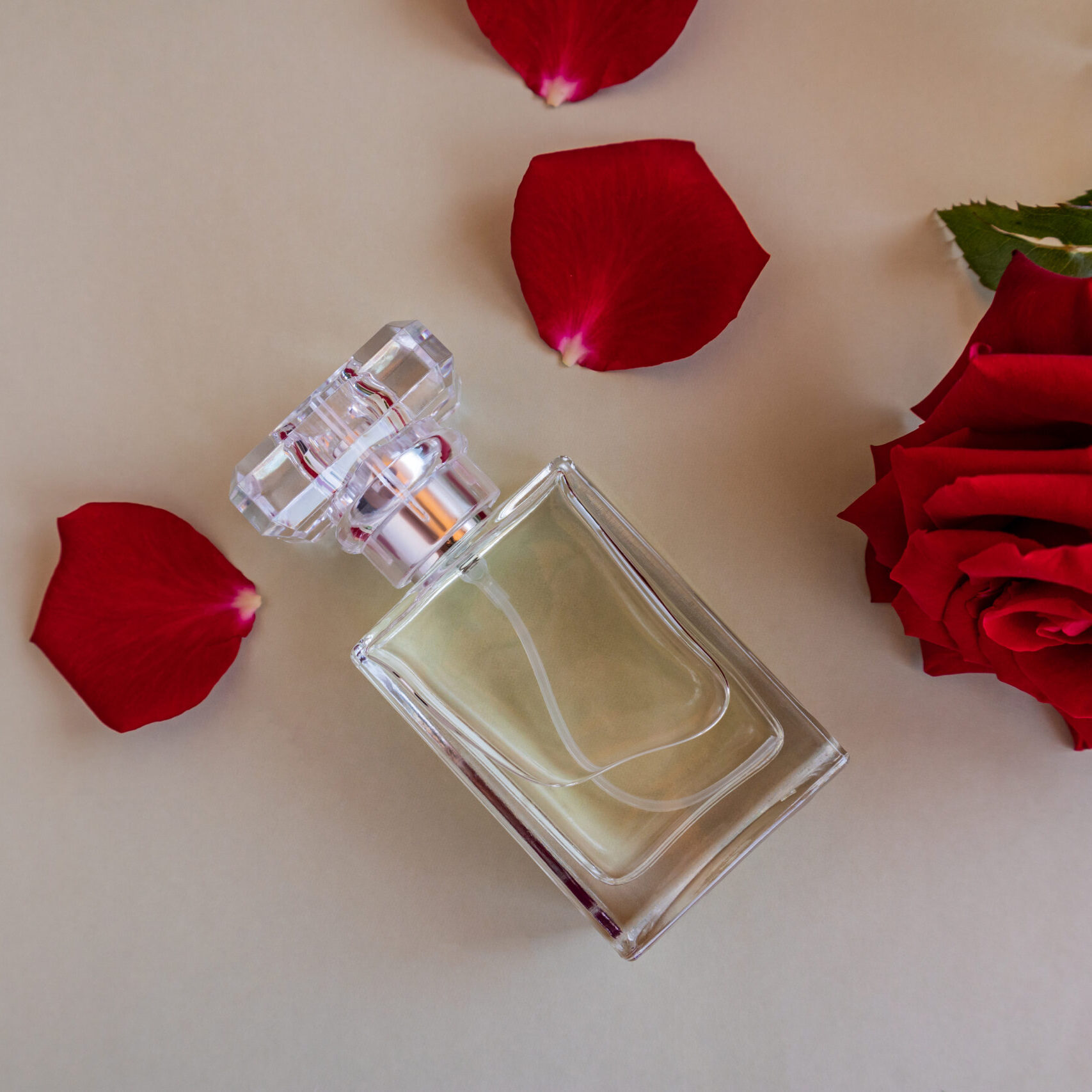 rose reverie – attar