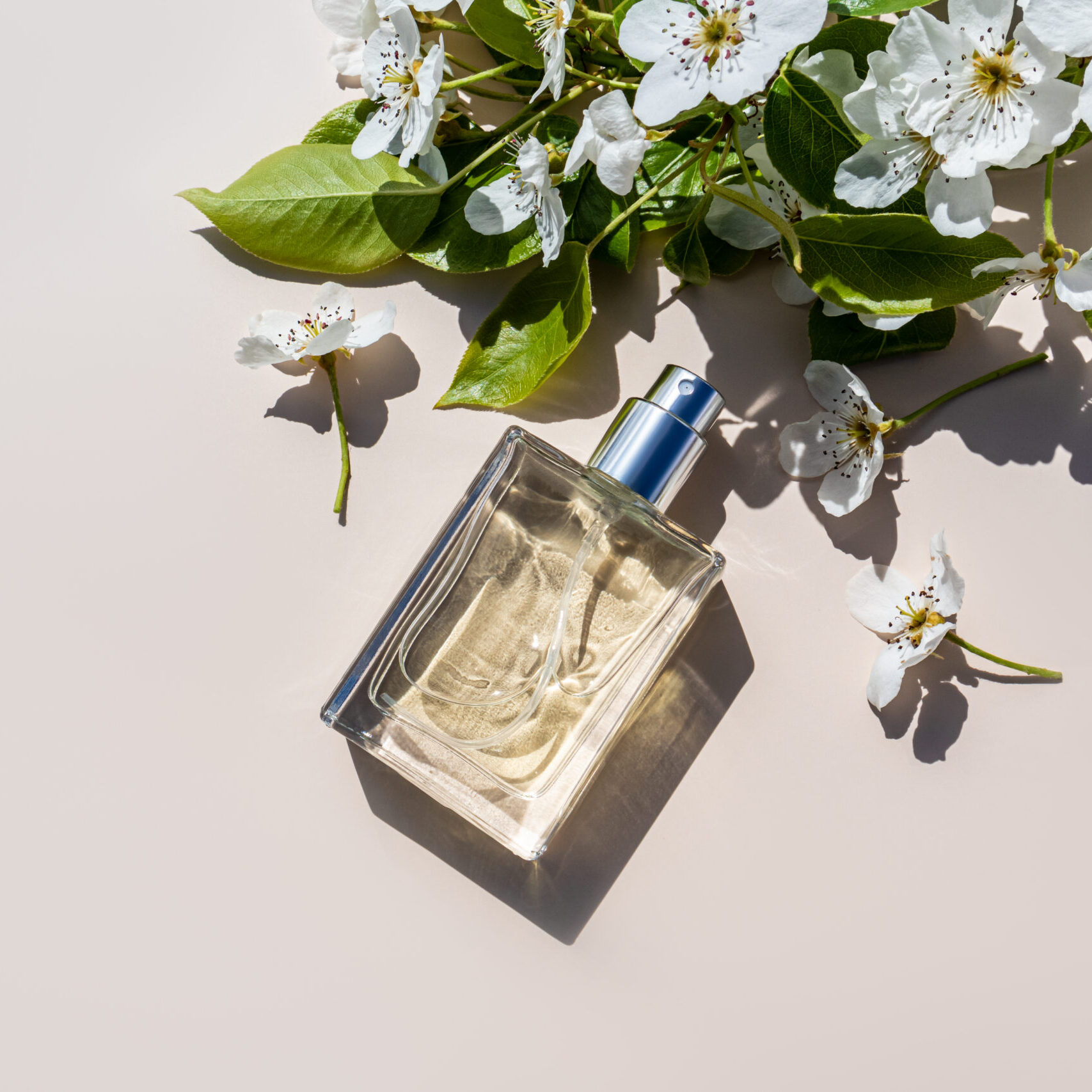 enchant mist – perfume