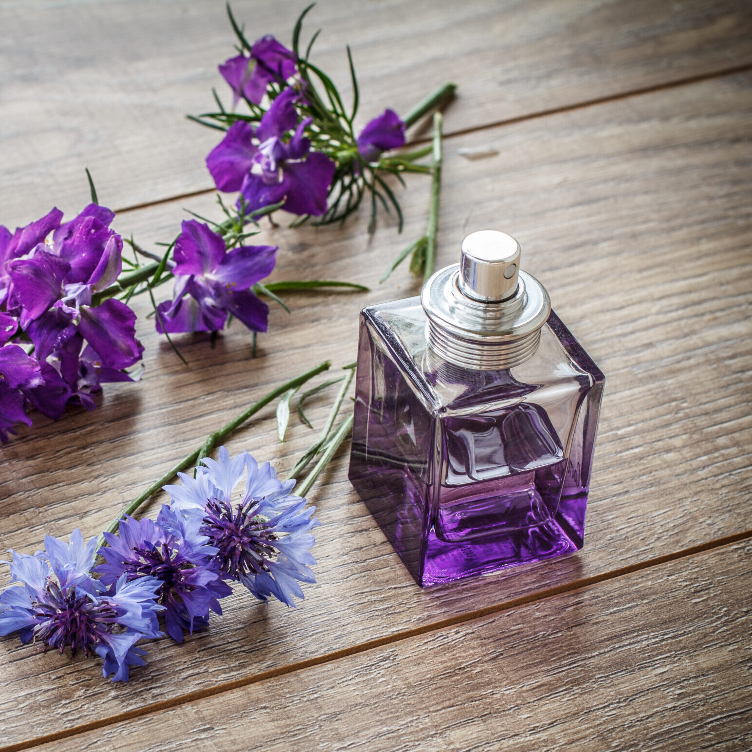 amber glow – solid perfume